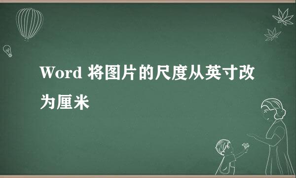 Word 将图片的尺度从英寸改为厘米