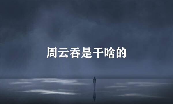 周云吞是干啥的