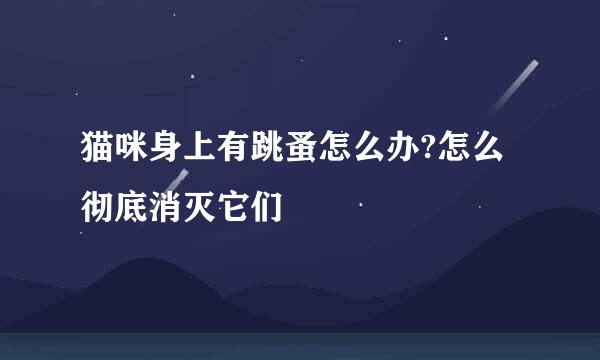 猫咪身上有跳蚤怎么办?怎么彻底消灭它们