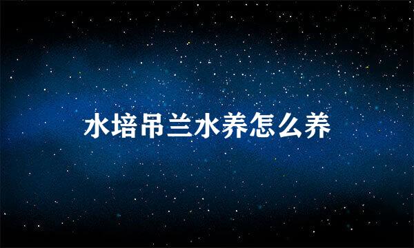水培吊兰水养怎么养
