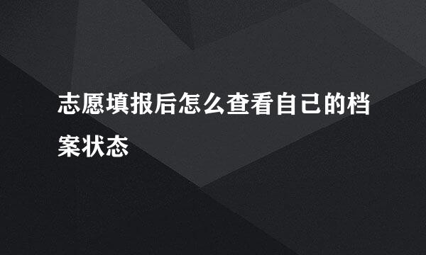 志愿填报后怎么查看自己的档案状态