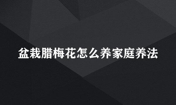 盆栽腊梅花怎么养家庭养法