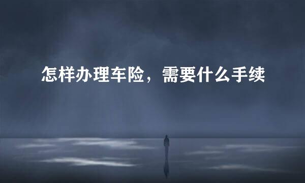 怎样办理车险，需要什么手续