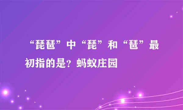 “琵琶”中“琵”和“琶”最初指的是?蚂蚁庄园