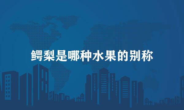 鳄梨是哪种水果的别称