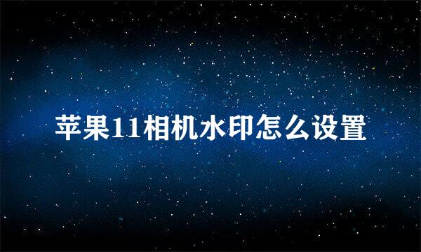苹果11相机水印怎么设置
