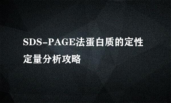 SDS-PAGE法蛋白质的定性定量分析攻略