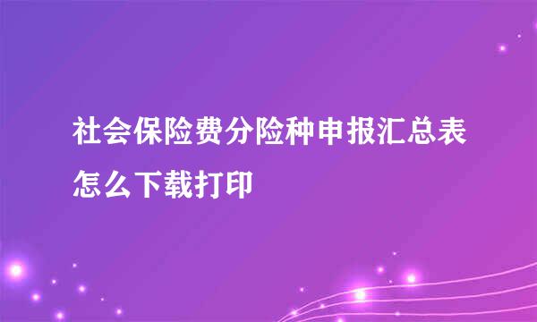 社会保险费分险种申报汇总表怎么下载打印