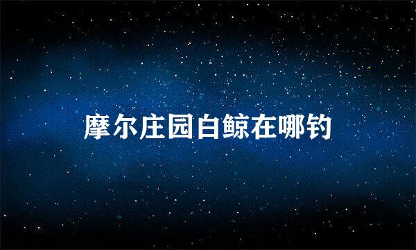 摩尔庄园白鲸在哪钓