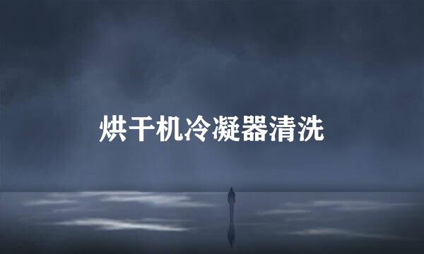 烘干机冷凝器清洗