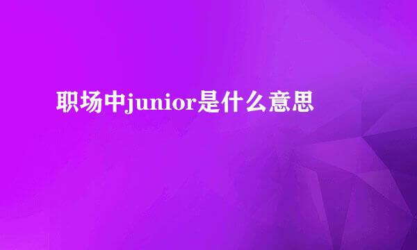 职场中junior是什么意思