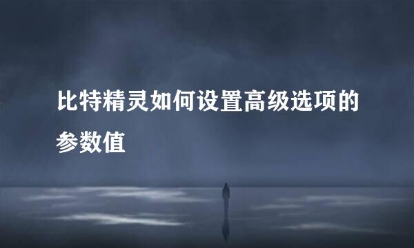 比特精灵如何设置高级选项的参数值