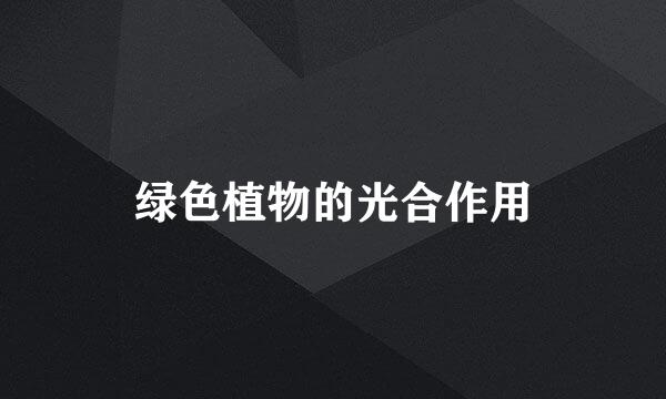 绿色植物的光合作用