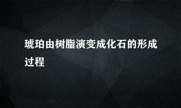 琥珀由树脂演变成化石的形成过程