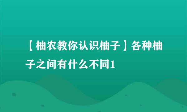 【柚农教你认识柚子】各种柚子之间有什么不同1
