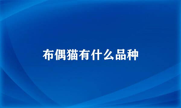 布偶猫有什么品种