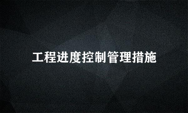 工程进度控制管理措施