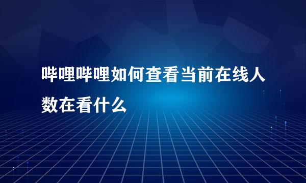 哔哩哔哩如何查看当前在线人数在看什么