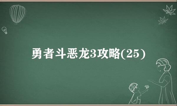 勇者斗恶龙3攻略(25)