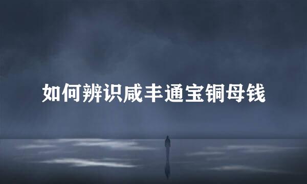 如何辨识咸丰通宝铜母钱