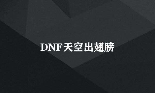 DNF天空出翅膀