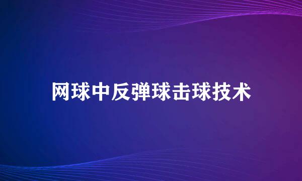 网球中反弹球击球技术