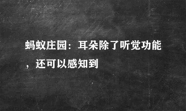 蚂蚁庄园：耳朵除了听觉功能，还可以感知到