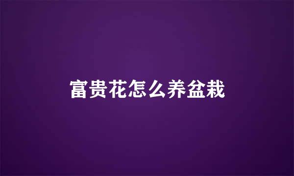 富贵花怎么养盆栽