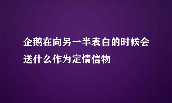 企鹅在向另一半表白的时候会送什么作为定情信物