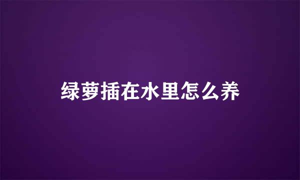 绿萝插在水里怎么养
