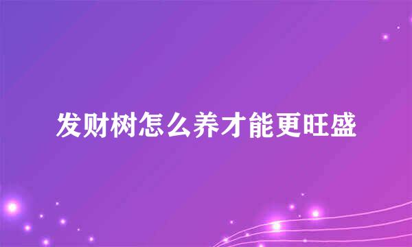发财树怎么养才能更旺盛