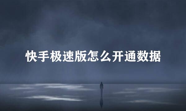 快手极速版怎么开通数据