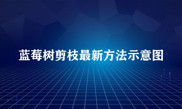 蓝莓树剪枝最新方法示意图