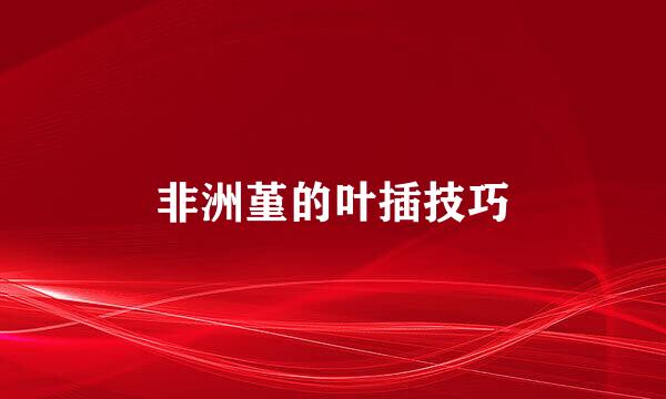 非洲堇的叶插技巧