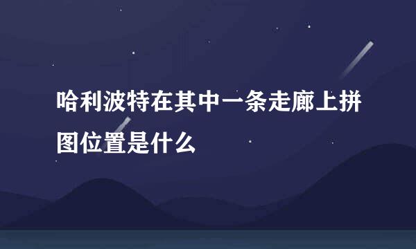 哈利波特在其中一条走廊上拼图位置是什么