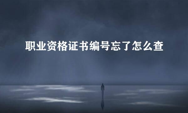 职业资格证书编号忘了怎么查