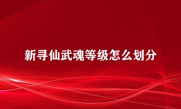新寻仙武魂等级怎么划分