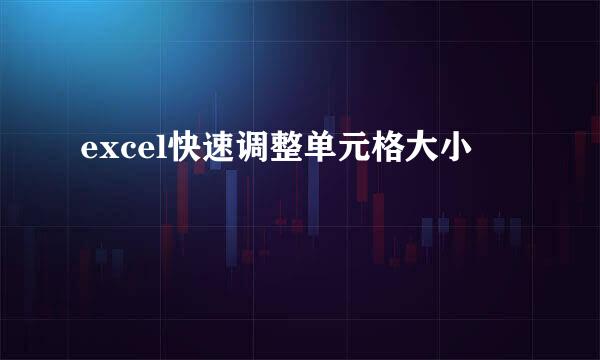 excel快速调整单元格大小