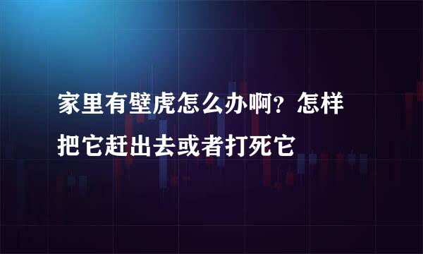 家里有壁虎怎么办啊？怎样 把它赶出去或者打死它