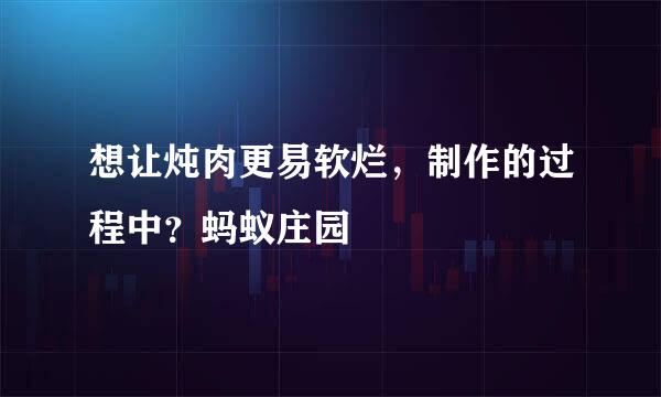 想让炖肉更易软烂，制作的过程中？蚂蚁庄园