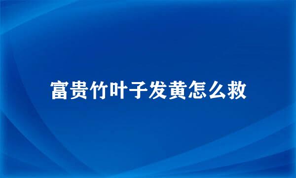 富贵竹叶子发黄怎么救