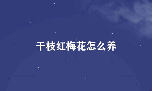 干枝红梅花怎么养
