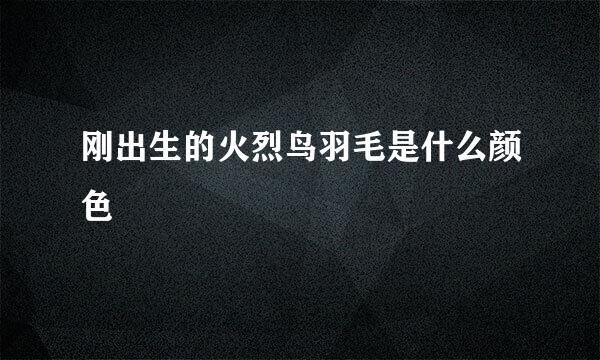 刚出生的火烈鸟羽毛是什么颜色