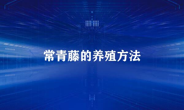 常青藤的养殖方法