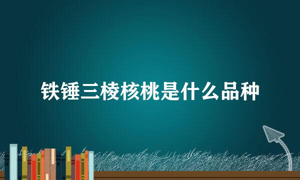 铁锤三棱核桃是什么品种