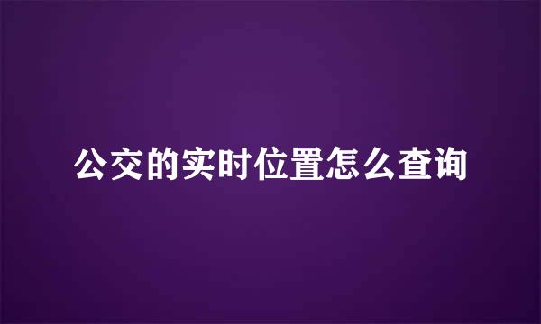 公交的实时位置怎么查询