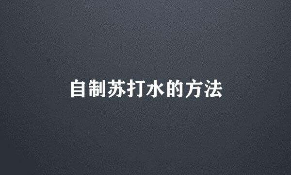 自制苏打水的方法