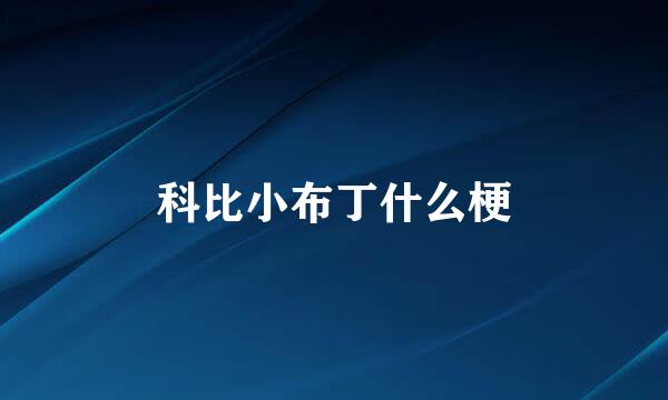 科比小布丁什么梗