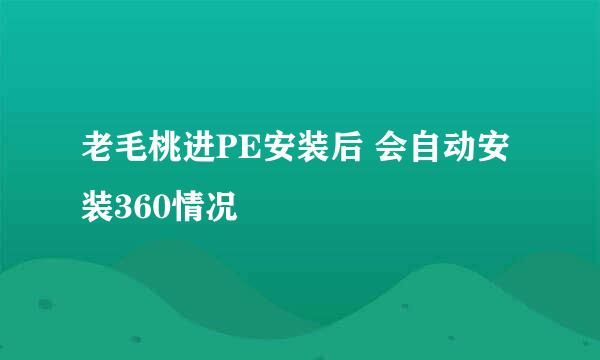 老毛桃进PE安装后 会自动安装360情况