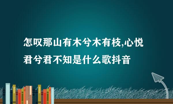 怎叹那山有木兮木有枝,心悦君兮君不知是什么歌抖音